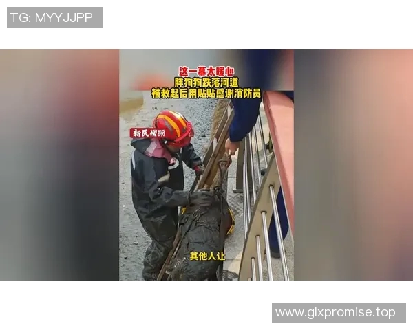 中国运动员夺金后比心观众:这一幕太暖了