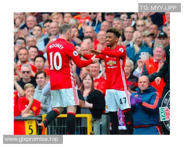 英超球队年轻球员培养体系分析及其发展成效探讨